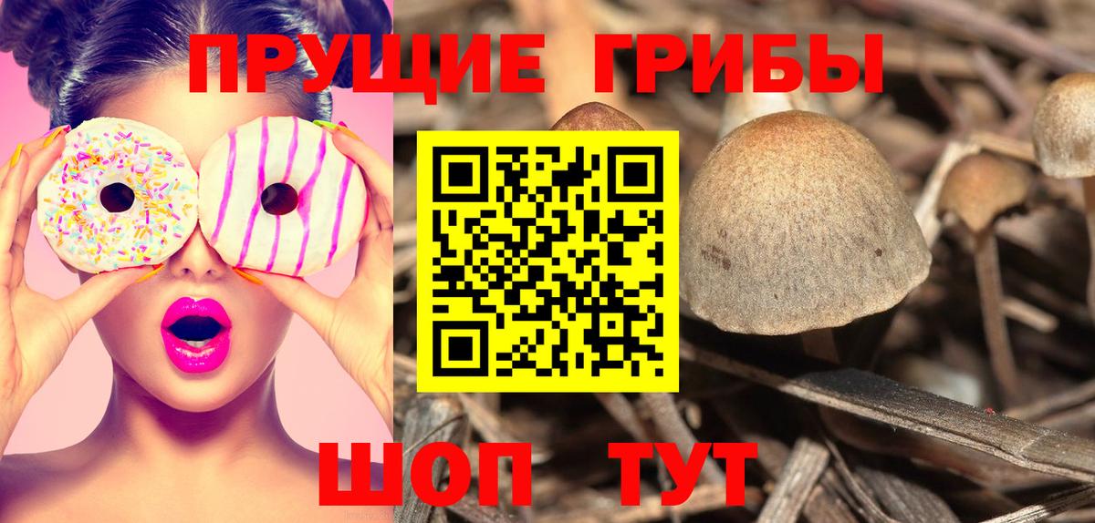 Галлюциногенные грибы Psilocybine cubensis  Вход с VPN  Амурск 